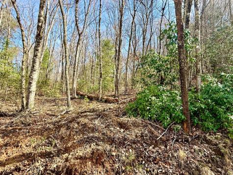 3.06 Ac Ridgeline Drive Brasstown NC 29802