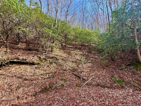 3.06 Ac Ridgeline Drive Brasstown NC 29802