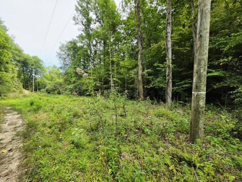 L32 Chestnut Flats Road Andrews NC 28901