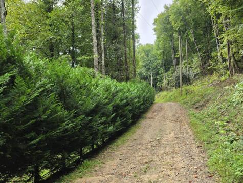 L32 Chestnut Flats Road Andrews NC 28901
