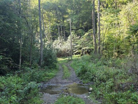 L32 Chestnut Flats Road Andrews NC 28901