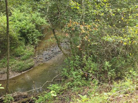 L32 Chestnut Flats Road Andrews NC 28901