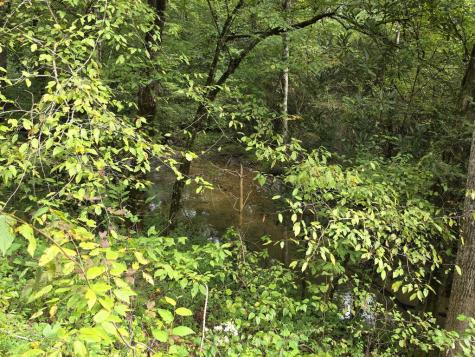 L32 Chestnut Flats Road Andrews NC 28901