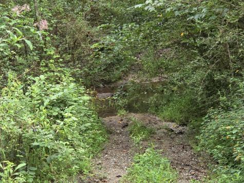 L32 Chestnut Flats Road Andrews NC 28901