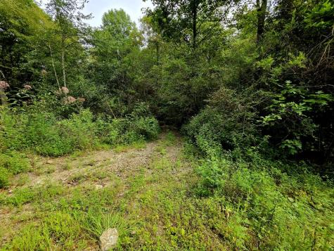 L32 Chestnut Flats Road Andrews NC 28901