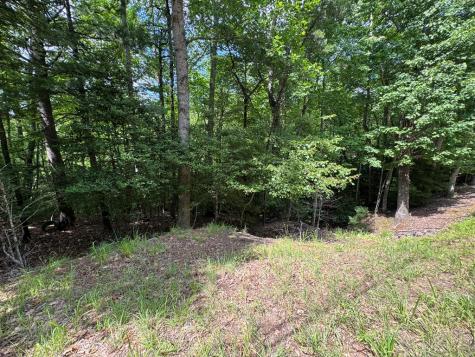 Lot 3 Honeysuckle Drive Blairsville GA 30512