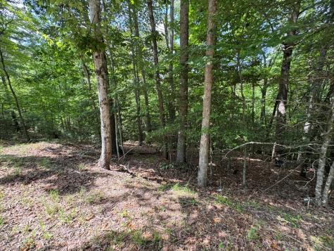 Lot 3 Honeysuckle Drive Blairsville GA 30512