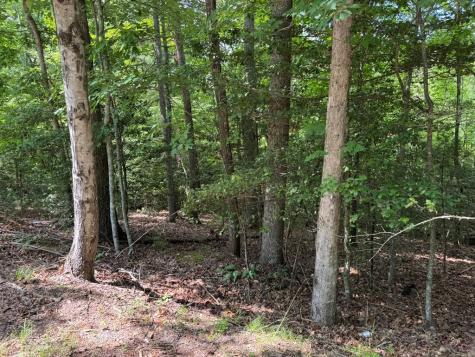 Lot 3 Honeysuckle Drive Blairsville GA 30512