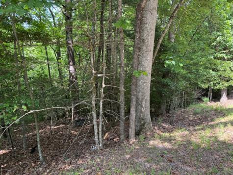 Lot 3 Honeysuckle Drive Blairsville GA 30512