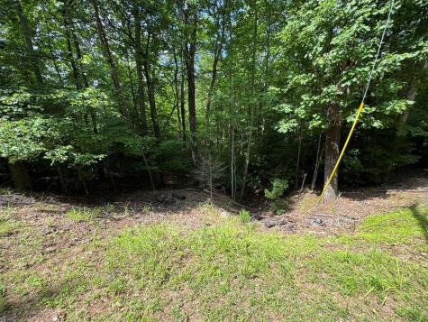 Lot 3 Honeysuckle Drive Blairsville GA 30512