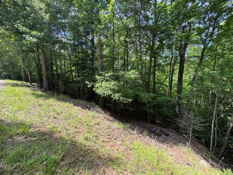 Lot 3 Honeysuckle Drive Blairsville GA 30512