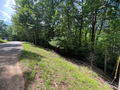 Lot 3 Honeysuckle Drive Blairsville GA 30512