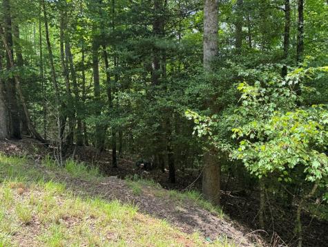 Lot 3 Honeysuckle Drive Blairsville GA 30512