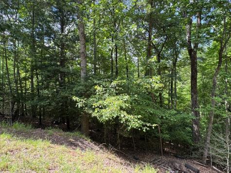 Lot 3 Honeysuckle Drive Blairsville GA 30512