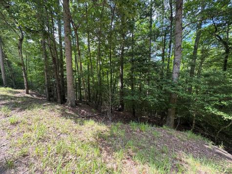 Lot 3 Honeysuckle Drive Blairsville GA 30512