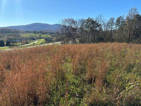 Lots 1-4 Windy Ridge & Highway 69 Hayesville NC 28904