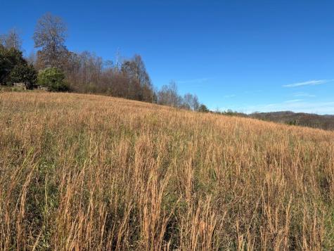 Lots 1-4 Windy Ridge & Highway 69 Hayesville NC 28904