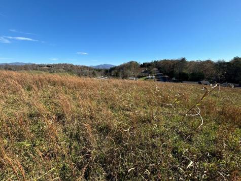 Lots 1-4 Windy Ridge & Highway 69 Hayesville NC 28904