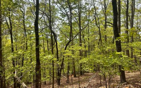 1 Thomas Town Road Young Harris GA 30582
