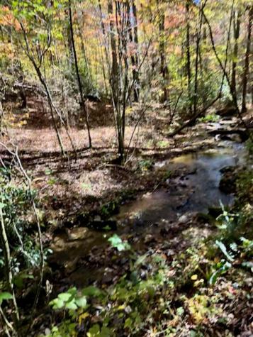 1 Thomas Town Road Young Harris GA 30582