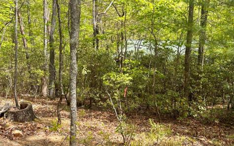 1 Thomas Town Road Young Harris GA 30582