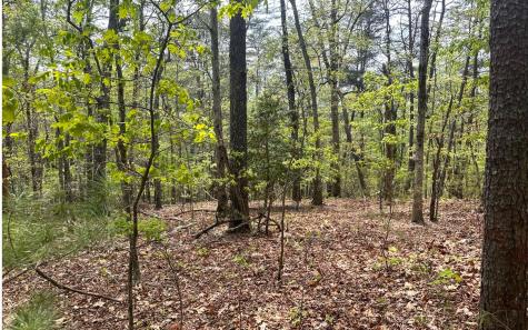 1 Thomas Town Road Young Harris GA 30582