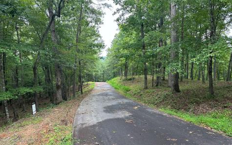Lot 22 Brasstown Trail Warne NC 28909