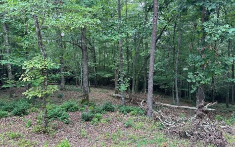 Lot 22 Brasstown Trail Warne NC 28909