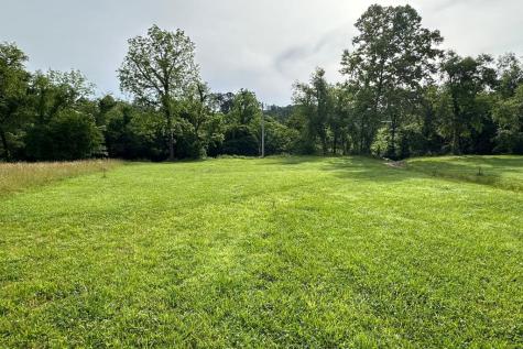 Lot 22 Brasstown Trail Warne NC 28909