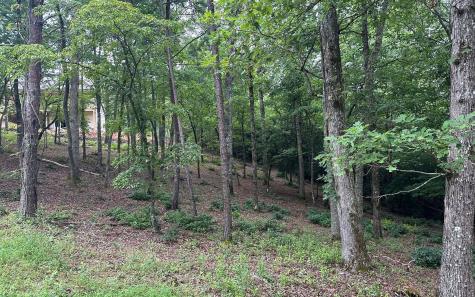 Lot 22 Brasstown Trail Warne NC 28909