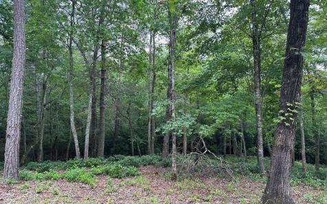 Lot 22 Brasstown Trail Warne NC 28909
