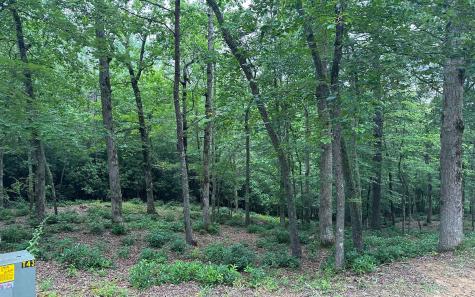 Lot 22 Brasstown Trail Warne NC 28909