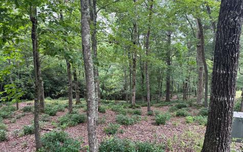 Lot 22 Brasstown Trail Warne NC 28909