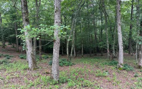 Lot 22 Brasstown Trail Warne NC 28909