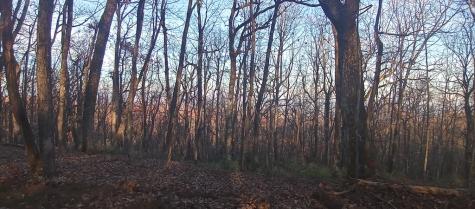 00 Lower Sassafras Parkway Jasper GA 30143