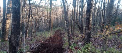 00 Lower Sassafras Parkway Jasper GA 30143
