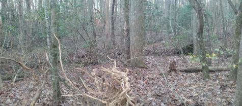 00 Lower Sassafras Parkway Jasper GA 30143