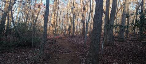 00 Lower Sassafras Parkway Jasper GA 30143
