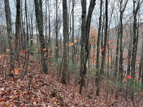 LT12&13 Butternut Grove Road Blairsville GA 30512