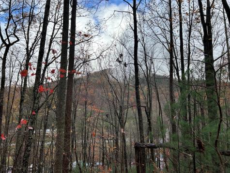 LT12&13 Butternut Grove Road Blairsville GA 30512