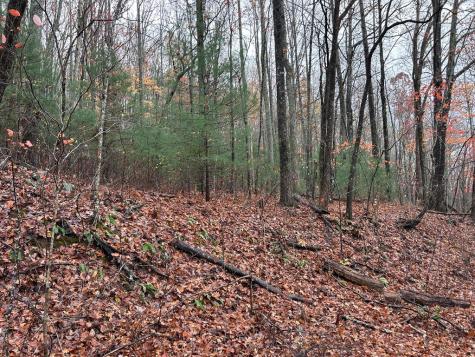 LT12&13 Butternut Grove Road Blairsville GA 30512