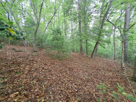 Lot 9 Murray Hill Road Hayesville NC 28904