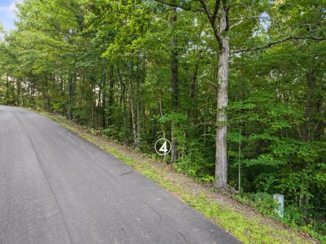 Lot 4 Timber Oaks Drive Turtletown TN 37391