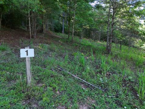 Lot 1 Big Knoll Drive Blairsville GA 30512