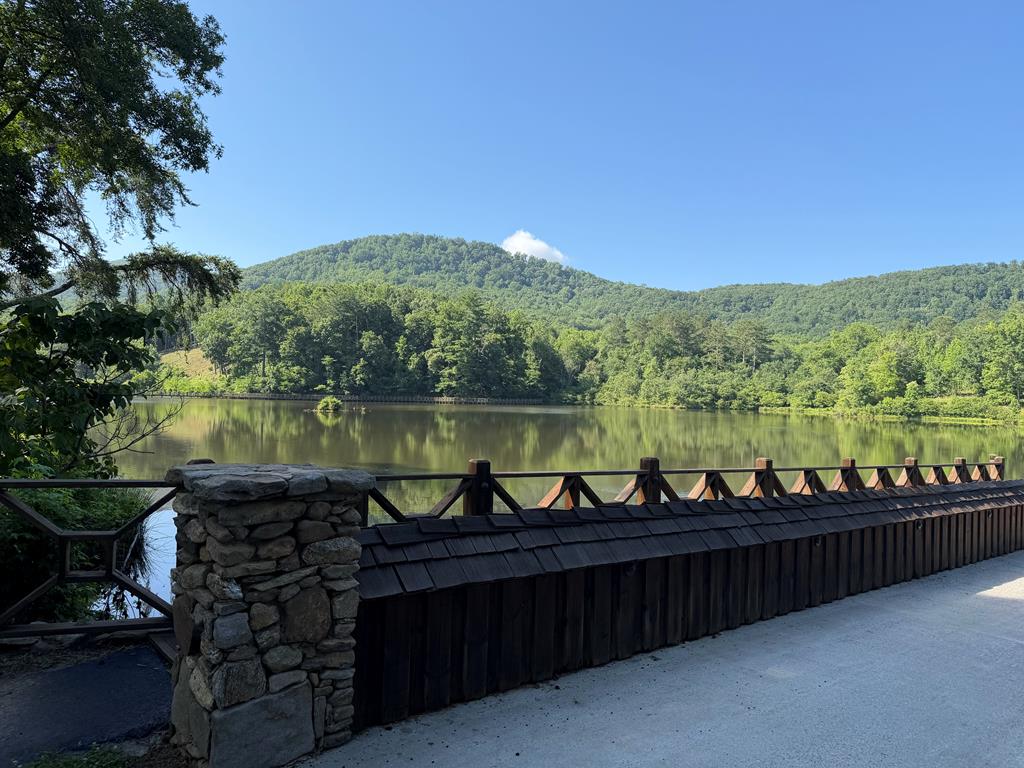 233 Stone Cliff Drive Ellijay GA 30560