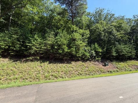 233 Stone Cliff Drive Ellijay GA 30560