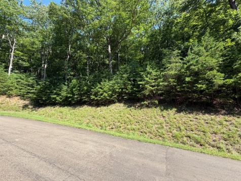 233 Stone Cliff Drive Ellijay GA 30560