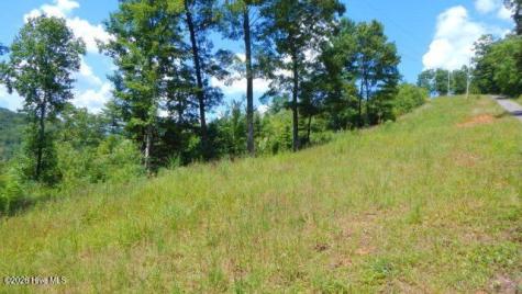 Lot 16 Tyler Ridge Murphy NC 28906