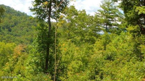 Lot 16 Tyler Ridge Murphy NC 28906