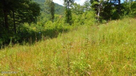 Lot 16 Tyler Ridge Murphy NC 28906
